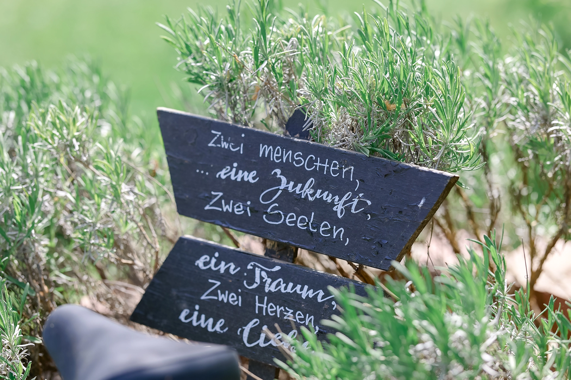 Pauline & Nik 159